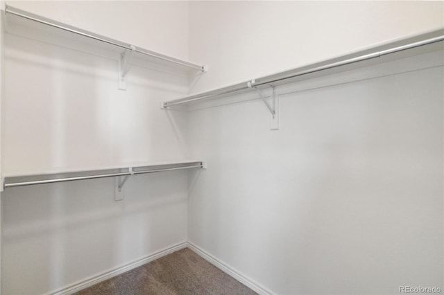 5895 S Taft Ct Unit H, Littleton, CO 80127 - photo 28