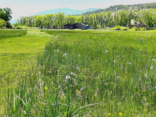 7382 Heavenly View Pkwy, Salida, CO 81201