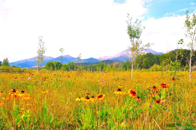 7382 Heavenly View Pkwy, Salida, CO 81201