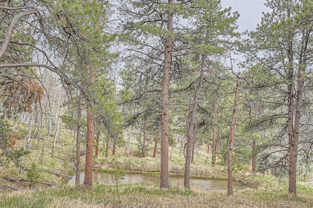 view of landscape with a view of trees
