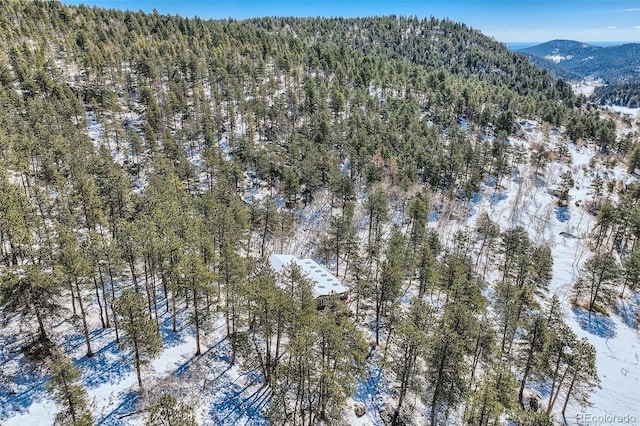 21191 Pleasant Park Rd, Conifer, CO 80433 - photo 43