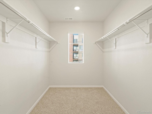 walk in closet with carpet floors