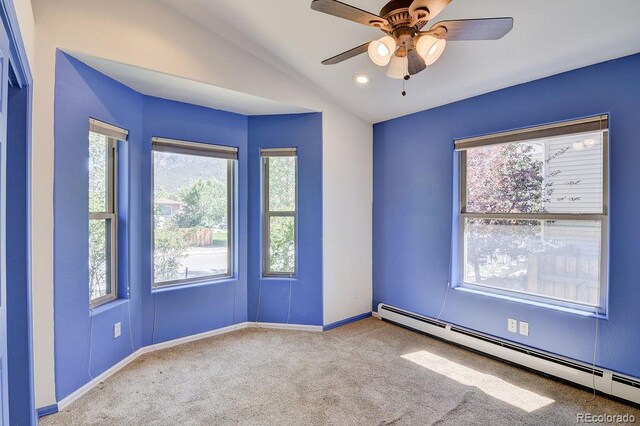 115 Brady Rd, Buena Vista, CO 81211 - photo 16