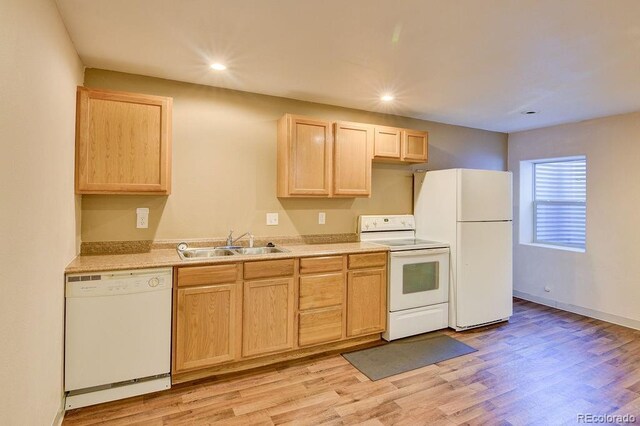 115 Brady Rd, Buena Vista, CO 81211 - photo 22