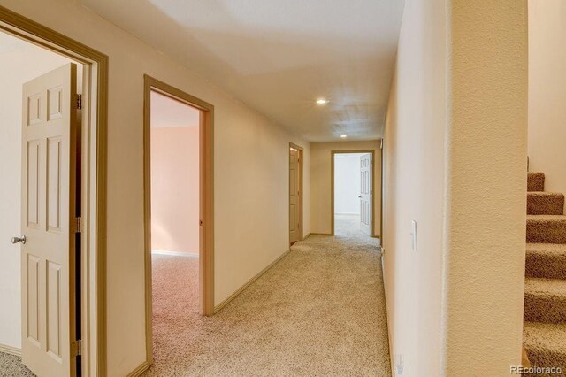 115 Brady Rd, Buena Vista, CO 81211 - photo 23