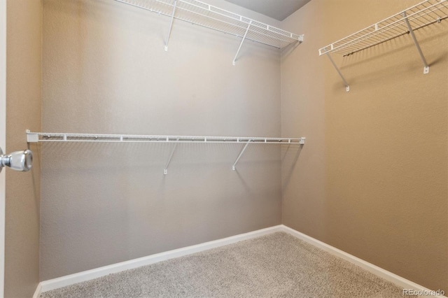 walk in closet featuring carpet