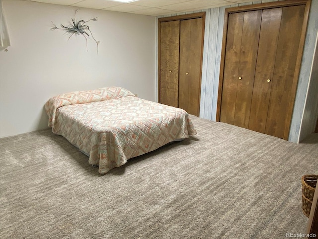 bedroom with multiple closets, a drop ceiling, and carpet flooring