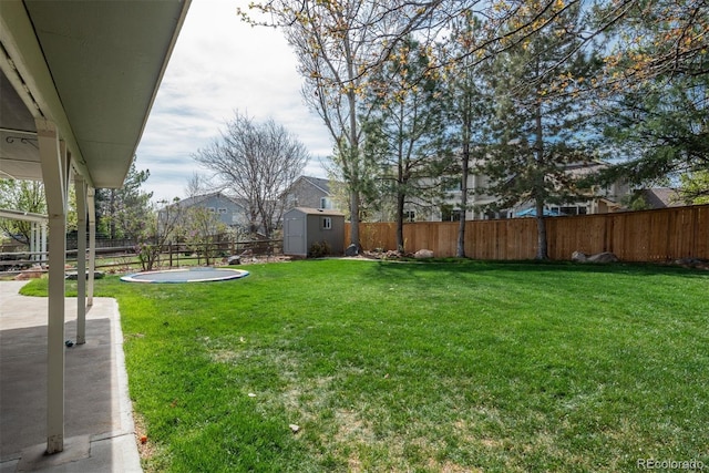 view of yard with a shed, an outdoor structure, and a patio