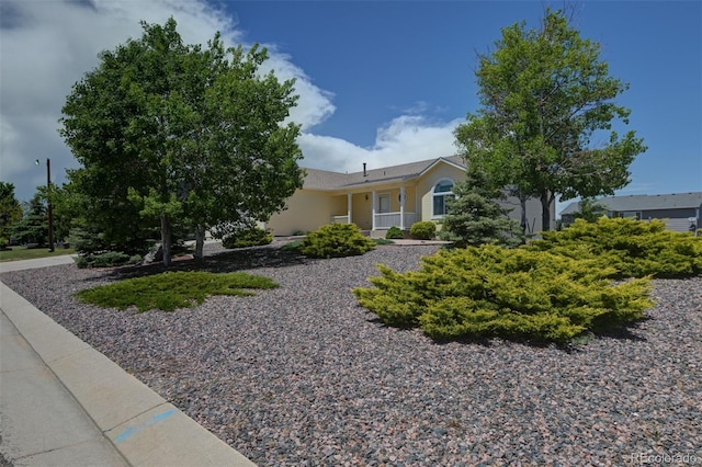 12454 Tex Tan Rd, Peyton, CO 80831 - view of front of house