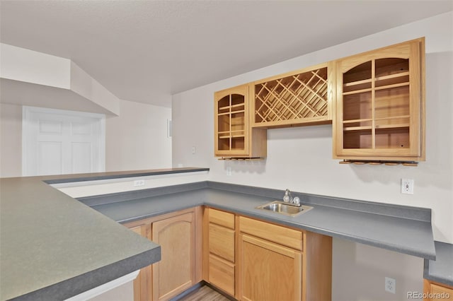 12454 Tex Tan Rd, Peyton, CO 80831 - kitchen featuring a sink, dark countertops, glass insert cabinets, light brown cabinetry, and light wood finished floors