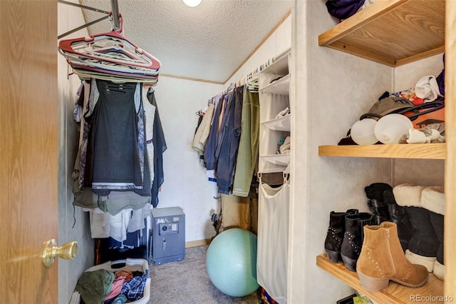 15650 W Valdez Cir, Peyton, CO 80831 - spacious closet with carpet
