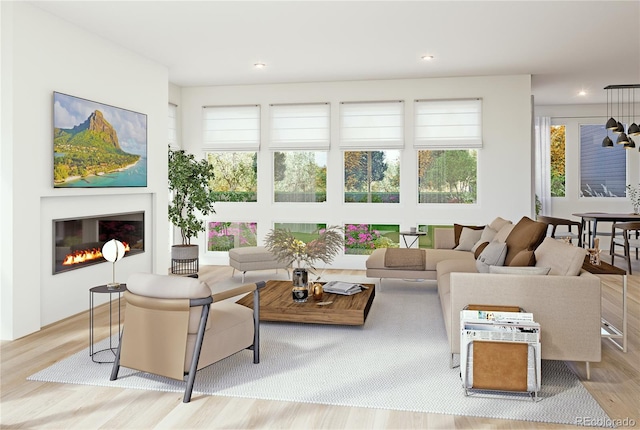 living room featuring light hardwood / wood-style flooring