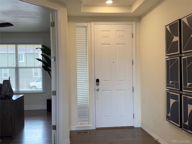 foyer with a wealth of natural light and dark wood-type flooring