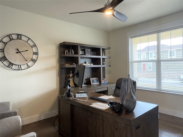 office area featuring ceiling fan, a wealth of natural light, and dark wood-type flooring