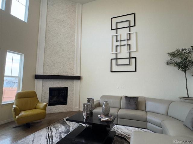 living room featuring a stone fireplace and wood-type flooring