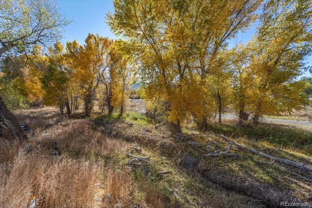 7032 County Road 156c, Salida, CO 81201 - view of nature
