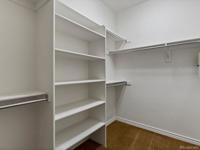 11962 W Long Cir Unit 203, Littleton, CO 80127 - walk in closet featuring dark carpet
