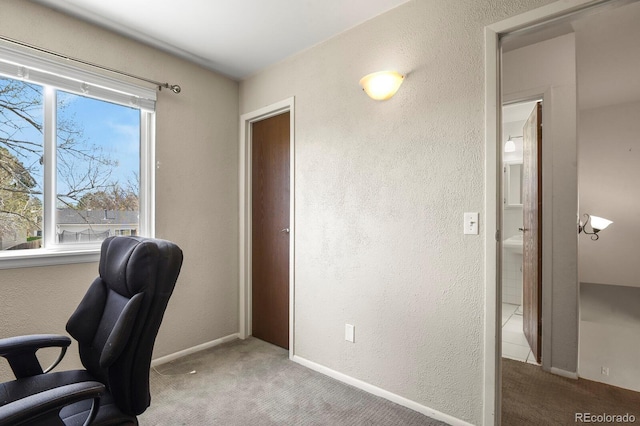 office area with carpet floors, a textured wall, and a healthy amount of sunlight