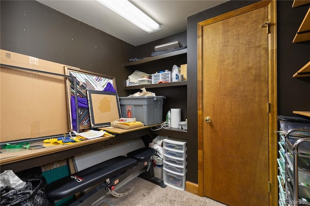 6307 Monterey Pl, Highlands Ranch, CO 80130 - view of storage area