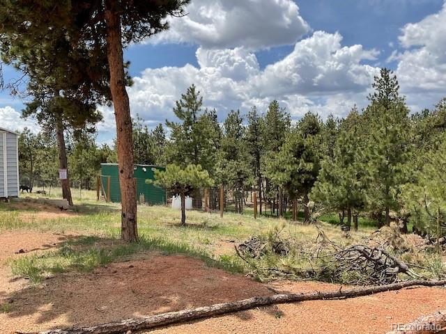 696 Calle De La Nieva, Florissant, CO 80816 - view of yard