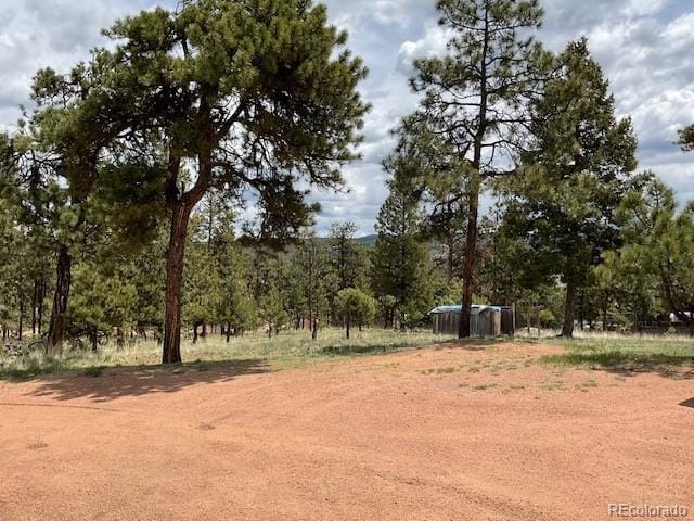 696 Calle De La Nieva, Florissant, CO 80816 - view of yard featuring a detached carport