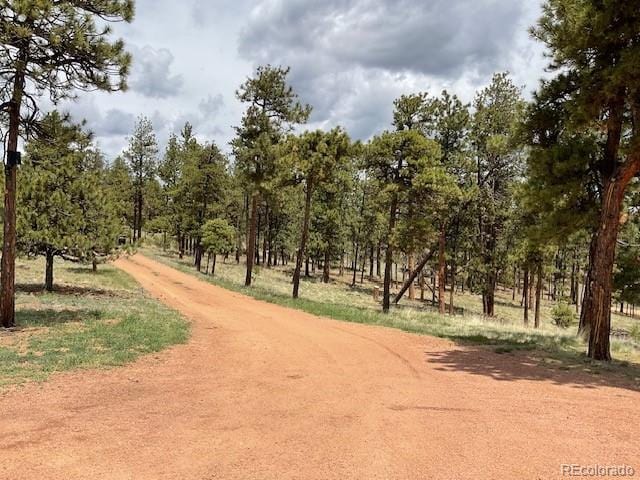 696 Calle De La Nieva, Florissant, CO 80816 - view of street