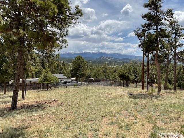 696 Calle De La Nieva, Florissant, CO 80816 - view of mountain backdrop with a forest