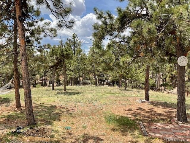 696 Calle De La Nieva, Florissant, CO 80816 - view of nature