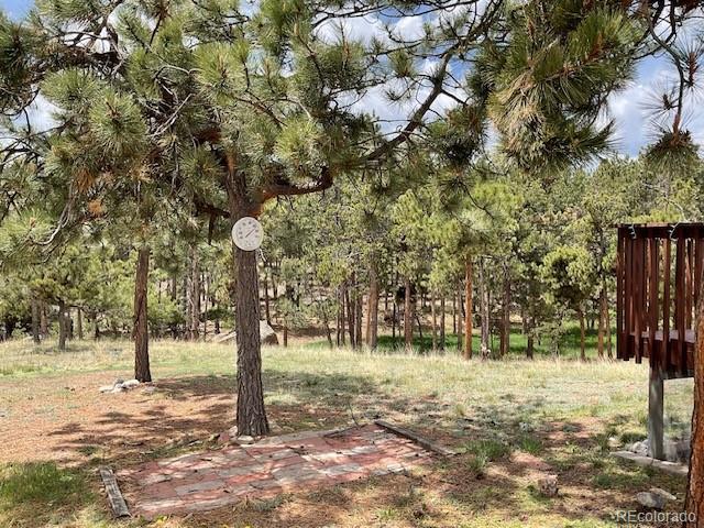 696 Calle De La Nieva, Florissant, CO 80816 - view of yard