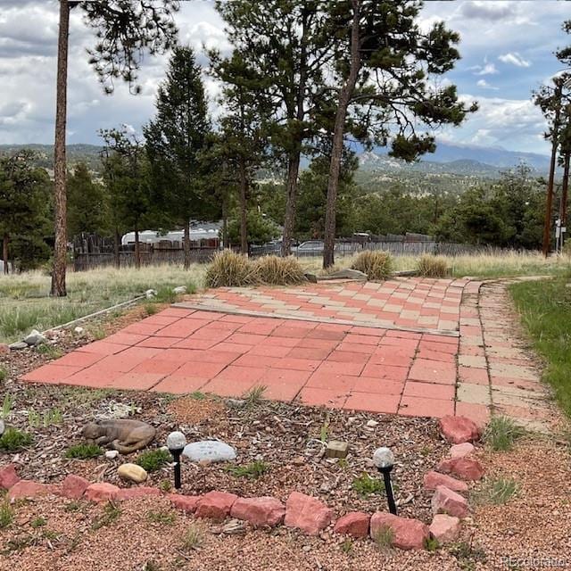 696 Calle De La Nieva, Florissant, CO 80816 - view of patio