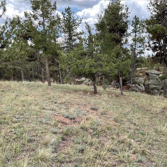 696 Calle De La Nieva, Florissant, CO 80816 - view of local wilderness