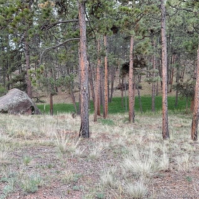 696 Calle De La Nieva, Florissant, CO 80816 - view of nature
