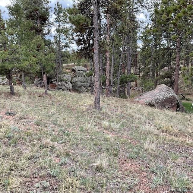 696 Calle De La Nieva, Florissant, CO 80816 - view of undeveloped land