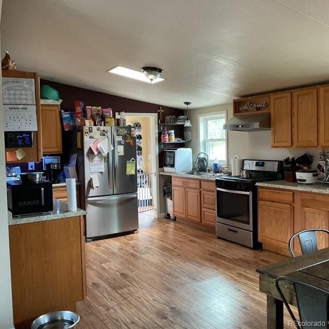 696 Calle De La Nieva, Florissant, CO 80816 - kitchen with appliances with stainless steel finishes, ventilation hood, a sink, light wood-style flooring, and vaulted ceiling