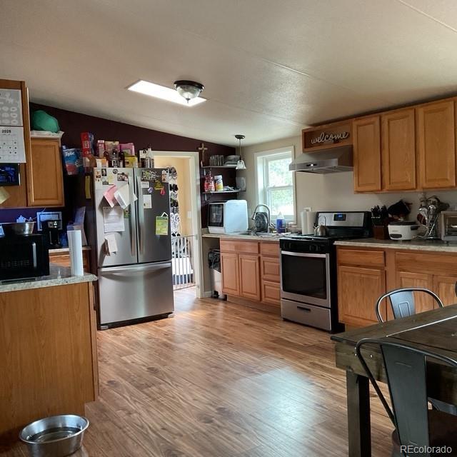 696 Calle De La Nieva, Florissant, CO 80816 - kitchen with stainless steel appliances, under cabinet range hood, a sink, lofted ceiling, and light wood finished floors