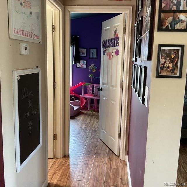 696 Calle De La Nieva, Florissant, CO 80816 - hall with wood finished floors