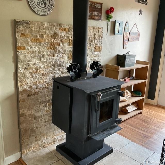 696 Calle De La Nieva, Florissant, CO 80816 - detailed view of a wood stove and baseboards
