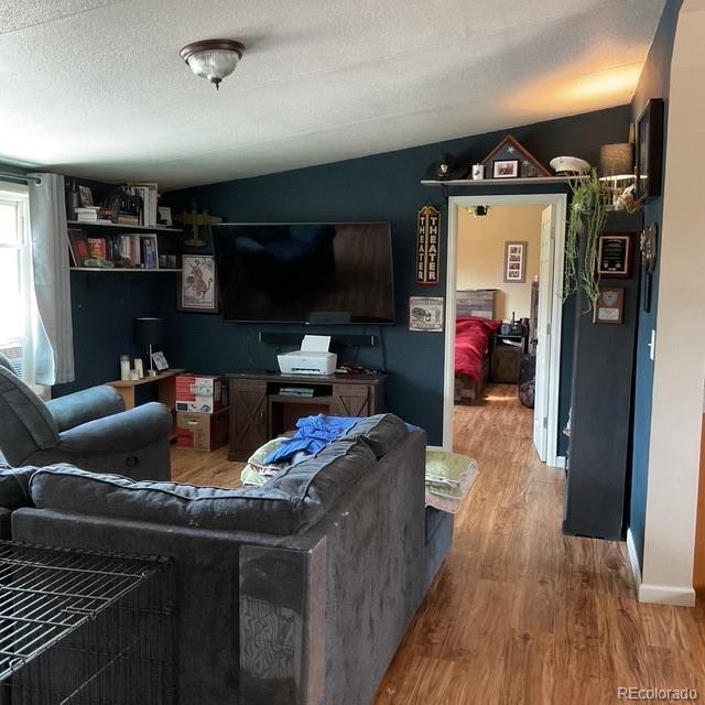 696 Calle De La Nieva, Florissant, CO 80816 - living room with wood finished floors, lofted ceiling, and a textured ceiling