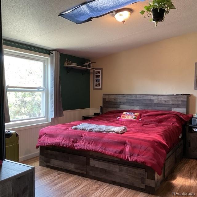 696 Calle De La Nieva, Florissant, CO 80816 - bedroom with wood finished floors, wainscoting, and a textured ceiling