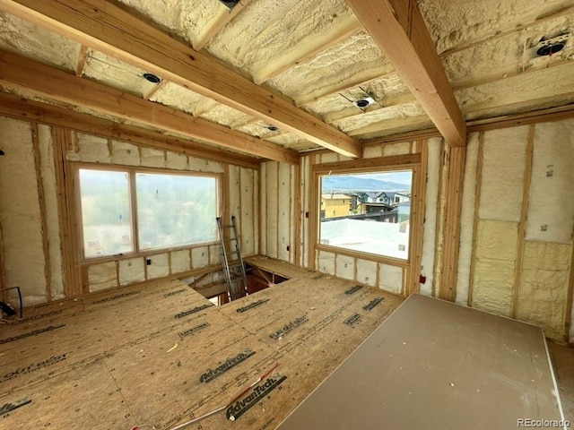 420 Pinon St, Buena Vista, CO 81211 - view of miscellaneous room