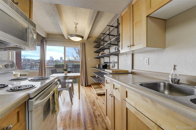 kitchen with a view of city, white appliances, light wood-style floors, light countertops, and a textured ceiling