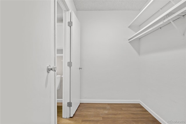 walk in closet featuring wood-type flooring