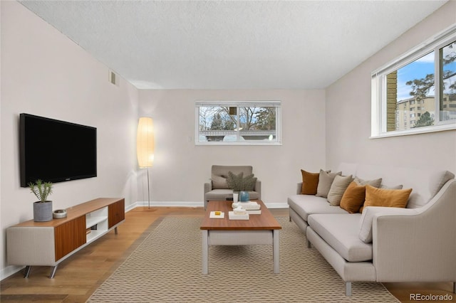 living room with a textured ceiling and light wood-type flooring