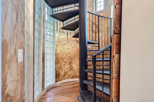 stairway with wood-type flooring