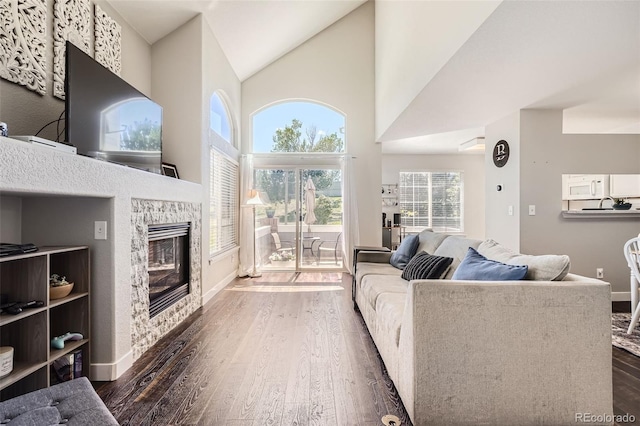 9653 Deerhorn Ct Unit 143, Parker, CO 80134 - living area featuring dark wood finished floors, a fireplace, and high vaulted ceiling