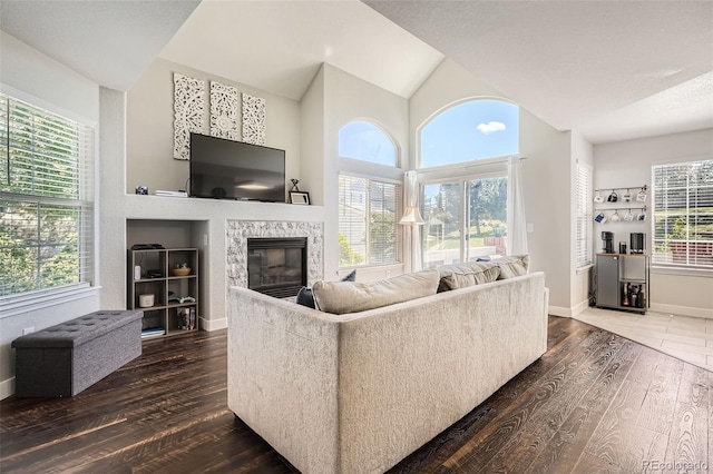 9653 Deerhorn Ct Unit 143, Parker, CO 80134 - living room with hardwood / wood-style floors, a glass covered fireplace, and vaulted ceiling