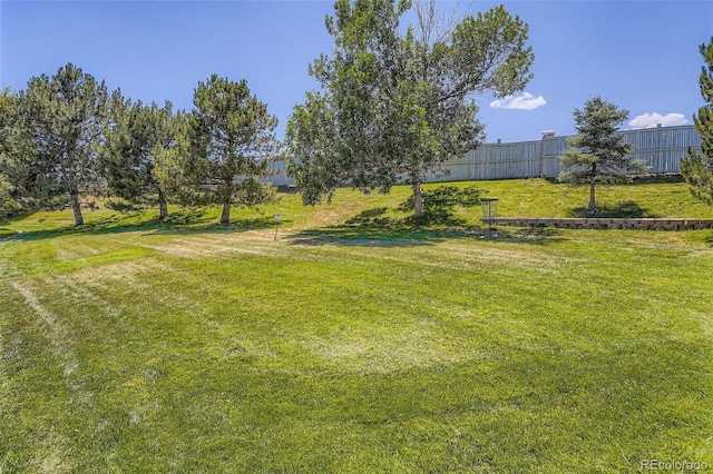 9653 Deerhorn Ct Unit 143, Parker, CO 80134 - view of yard