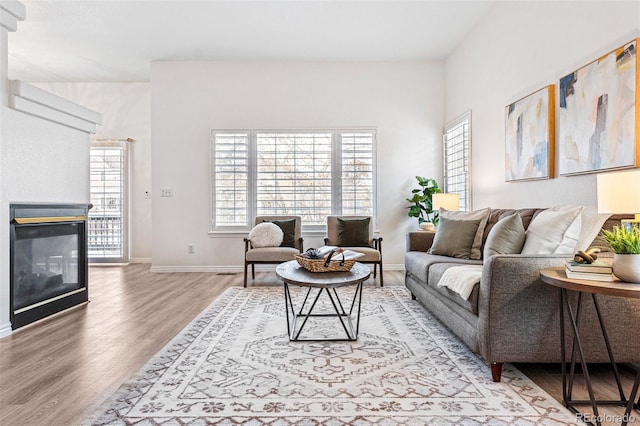 living room featuring hardwood / wood-style flooring and a healthy amount of sunlight