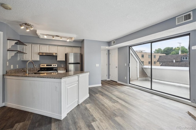 5250 S Huron Way Unit 1-204, Littleton, CO 80120 - kitchen featuring appliances with stainless steel finishes, under cabinet range hood, a sink, a textured ceiling, and wood finished floors