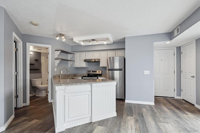 5250 S Huron Way Unit 1-204, Littleton, CO 80120 - kitchen with stainless steel appliances, a sink, under cabinet range hood, a peninsula, and dark wood-style flooring
